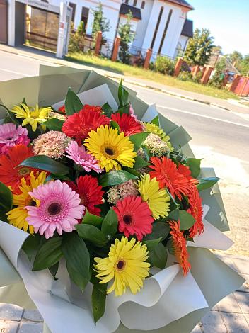 Букет цветов из: Герберы в Харабали